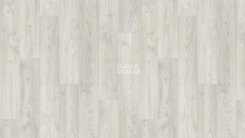 Tarkett Caprice DORN 1 фото 1 | FLOORDEALER